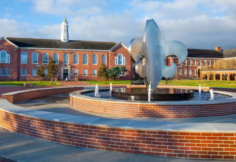 Best Online MBA Programs for Entrepreneurs and Startup Founders